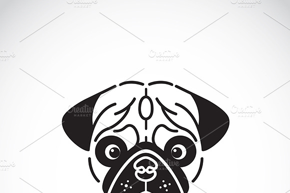 Vector Image Of Pugs Face