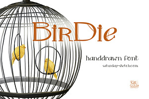 Birdie - handdrawn display font, a Serif Font by saturday.sketch