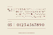 Bela Serfane Elegant Serif Font, a Serif Font by Rasio Studio (Thumbnail 4 of 11)