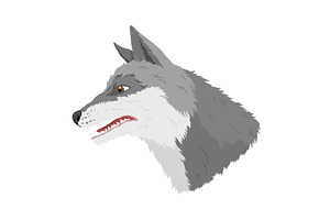 Gray wolf. A predatory beast. Wild, an Animal Illustration by the8monkey