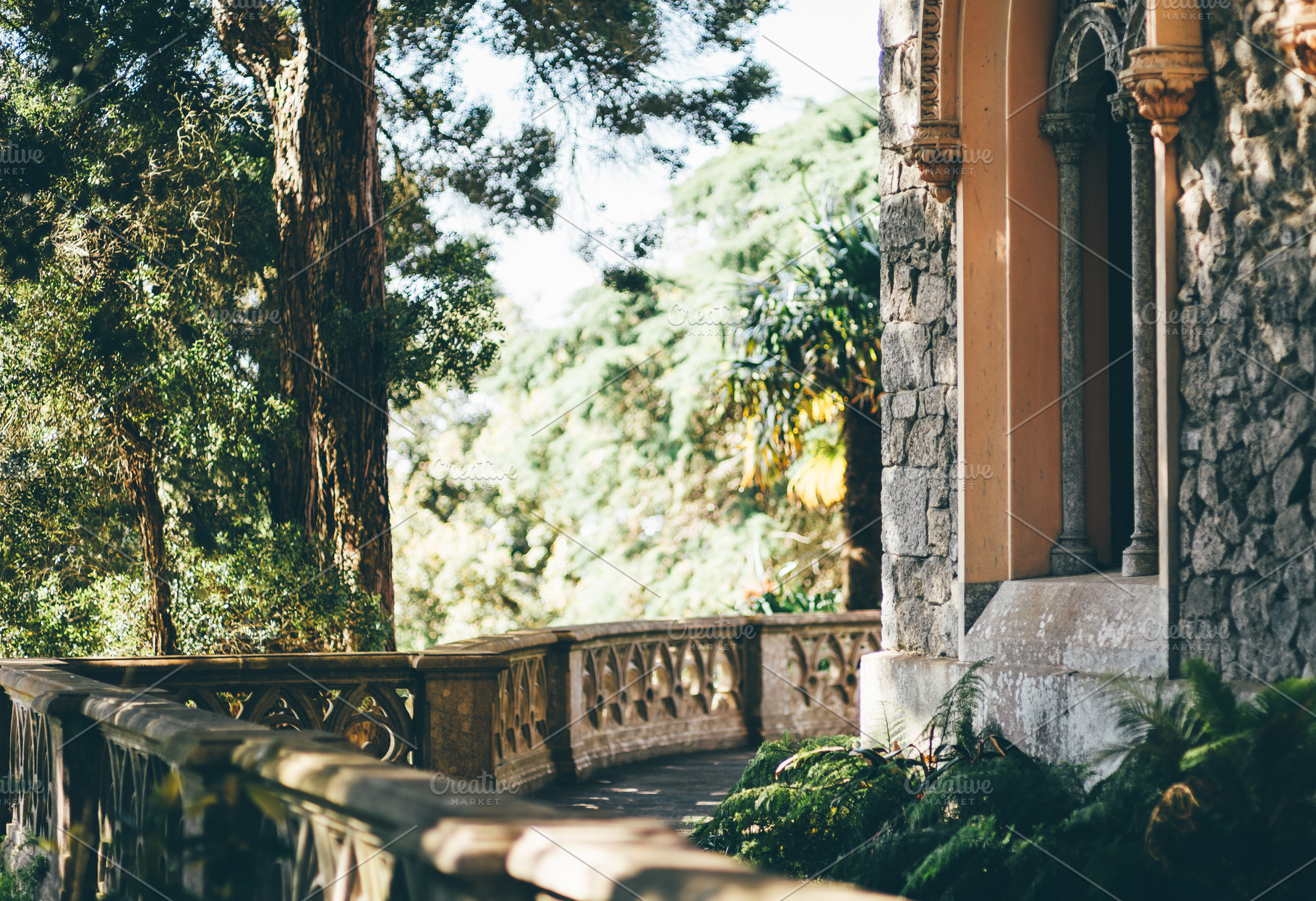 Historic terrace in forest light, an Architecture Photo by SkyNext
