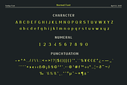 Sadigu, a Sans Serif Font by twinstd (Thumbnail 10 of 13)