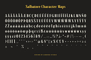 Salbatore - Vintage Serif, a Serif Font by Almeera Std (Thumbnail 4 of 6)