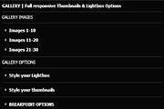 Full responsive Gallery, a Plug-in Add-On by Spark Tools (Thumbnail 2 of 5)