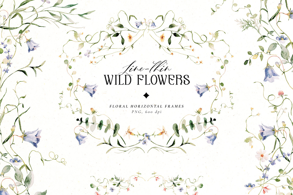 Line-thin watercolor wildflowers, a Decorative Illustration by Pamyatka Shop (Photo 9 of 16)