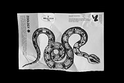 125 Vector Bitmap Assets. Biology, a Graphic by Vanzyst (Thumbnail 15 of 16)