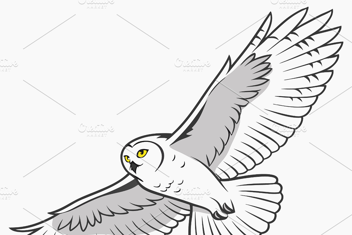 Barn owl in flight majestic bird, an Animal Illustration by SouravDesign (Photo 1 of 3)