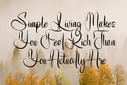 Buterflow - Historical Script Font, a Handwritten Font by Variatype (Thumbnail 3 of 9)