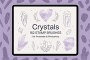 Bundle. Mushrooms, Crystals, Peony., a Brush Add-On by NinaFedorova (Thumbnail 15 of 20)