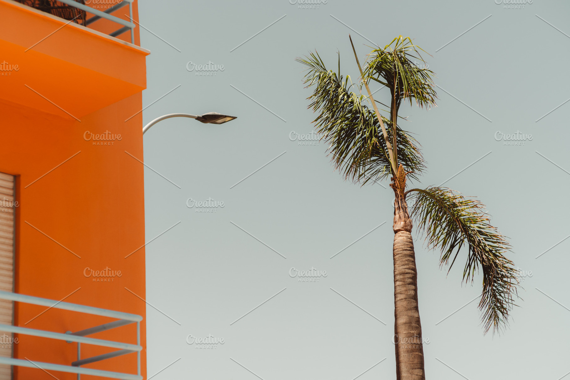Orange Facade and Palm Tree, a Nature Photo by SkyNext