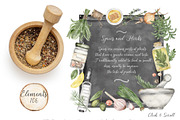 Watercolor Herbs and Spices, a Food Illustration by MayaNavits (Thumbnail 3 of 13)