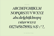 ELAYNE - Display Serif Font, a Serif Font by Hybridbee Design (Thumbnail 9 of 10)
