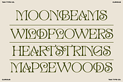 TAN - CURIOUS, a Serif Font by TanType (Thumbnail 4 of 11)