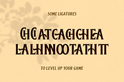 Baisteach | Vintage Serif, a Serif Font by Twicolabs Fontdation (Thumbnail 9 of 9)