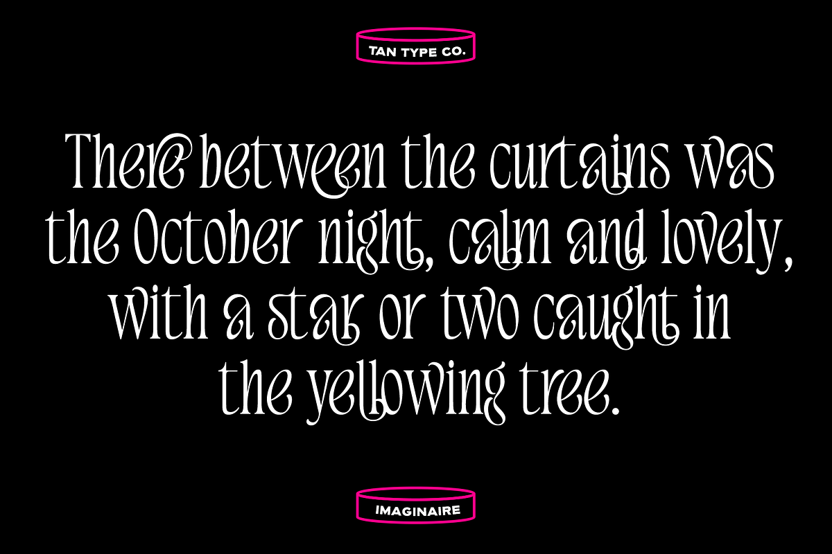TAN - IMAGINAIRE, a Serif Font by TanType (Photo 10 of 12)