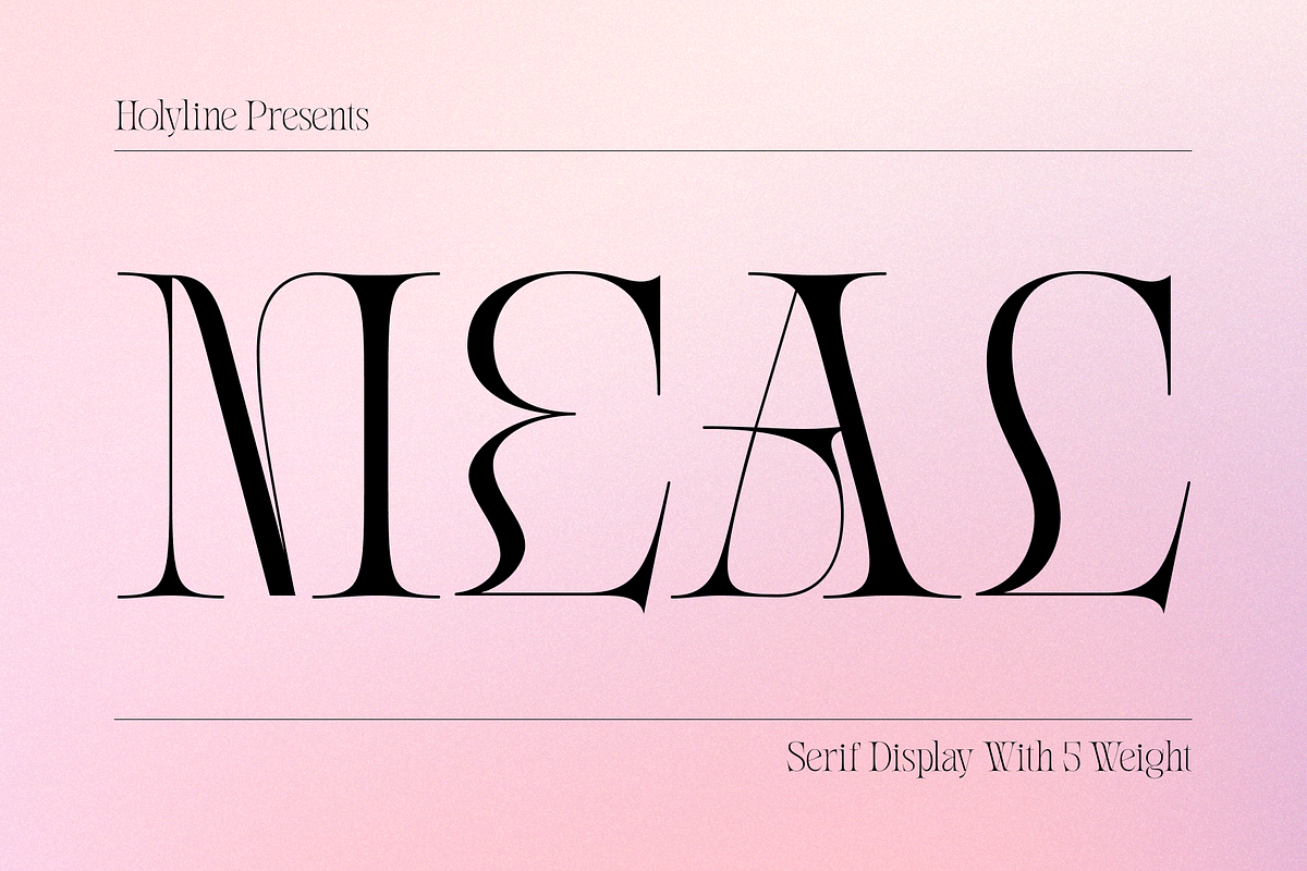 Meal - Serif Display Family, a Serif Font by Holyline Design (Photo 1 of 15)
