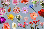 Messy Scrapbook: Spring Collage Kit, an Object Graphic by Anzhelika (Thumbnail 8 of 12)