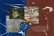 CYANOTYPE Botanical Backgrounds, a Background Graphic by Alisovna (Thumbnail 14 of 15)