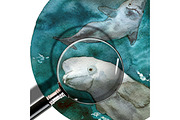 Watercolor Dolphins & Whales poster, an Animal Illustration by Bychovsky design (Thumbnail 7 of 7)