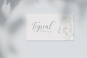 The Britney - Elegant Script Font