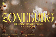 Soneburg; Display Serif Font