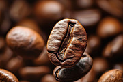 Coffee beans - 41 images, a Food & Drink Photo by Handmadefont (Thumbnail 11 of 12)