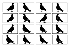 Pigeon bird Silhouette Vector set, an Animal Illustration by Unique Design Team