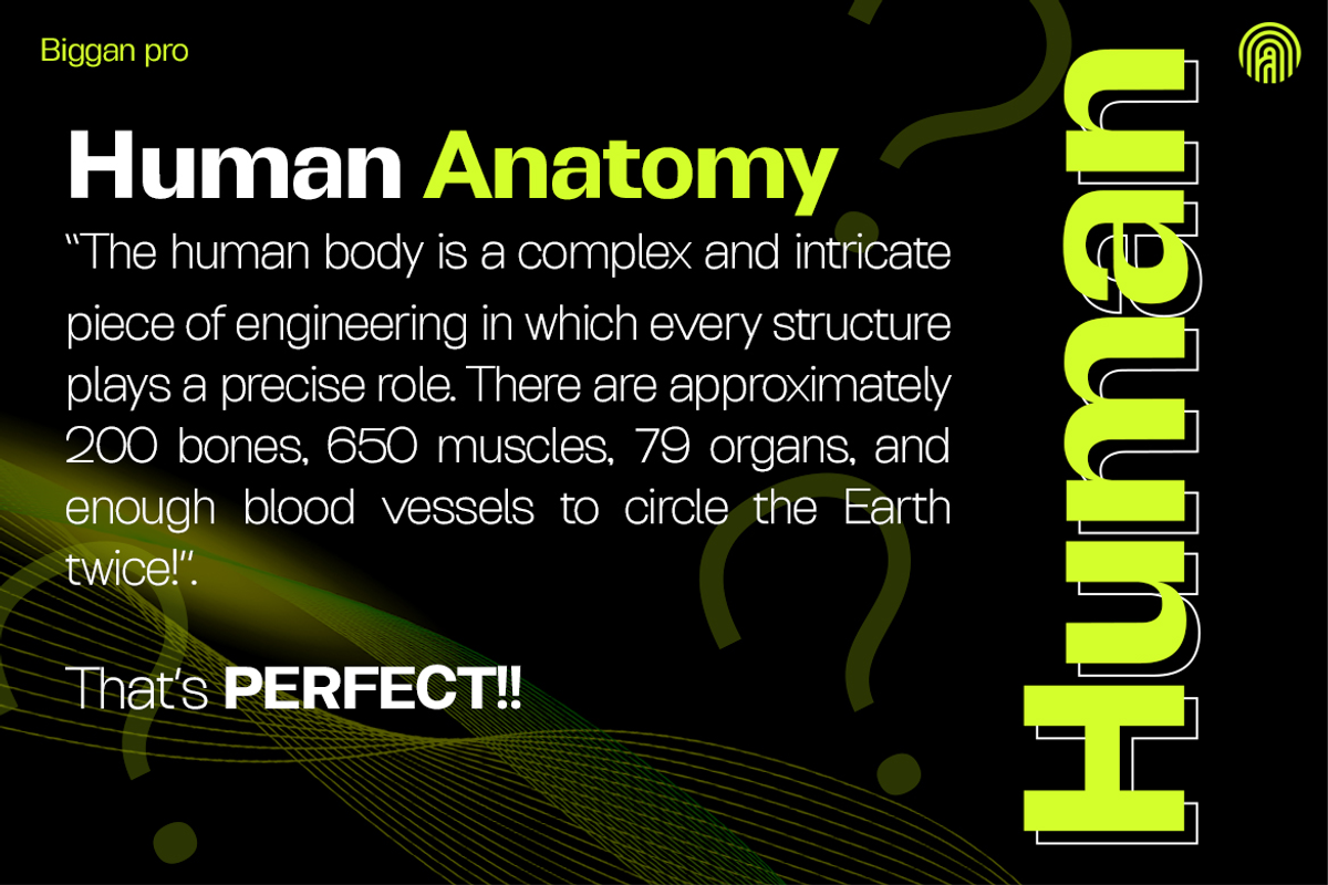Biggan Pro, a Sans Serif Font by artism_design (Photo 4 of 9)