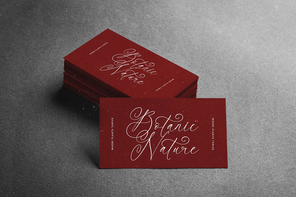 Notheli Dahlia Stylish Beauty Script, a Script Font by stylishtype.co (Photo 6 of 20)