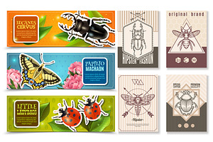 Insects Vector Set