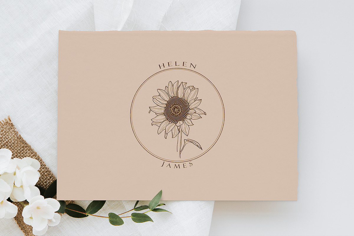 Sunflower line art collection, a Decorative Illustration by DamriNa art (Photo 5 of 8)