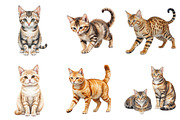 Beautiful Watercolor Cats Clipart, an Illustration by Pixels.Craft (Thumbnail 4 of 5)