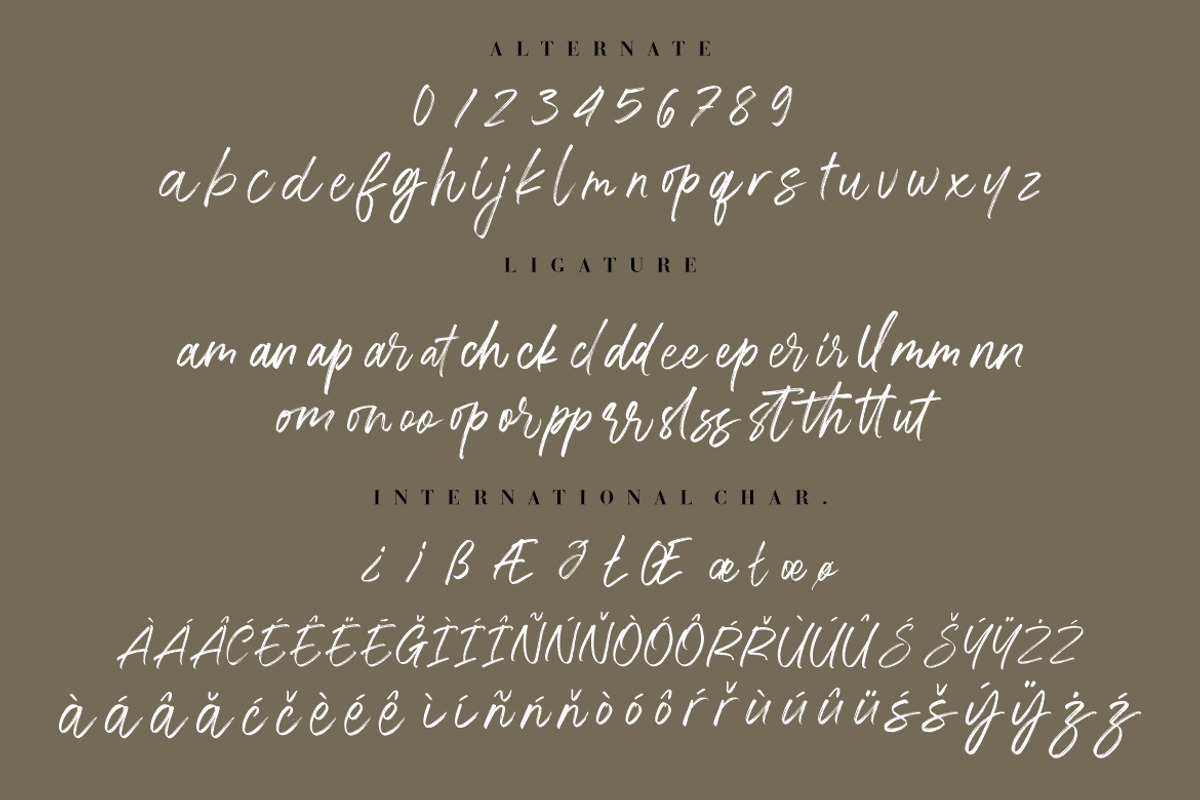 The Brands Quest Signature Brush, a Script Font by Creatype Studio (Photo 9 of 9)