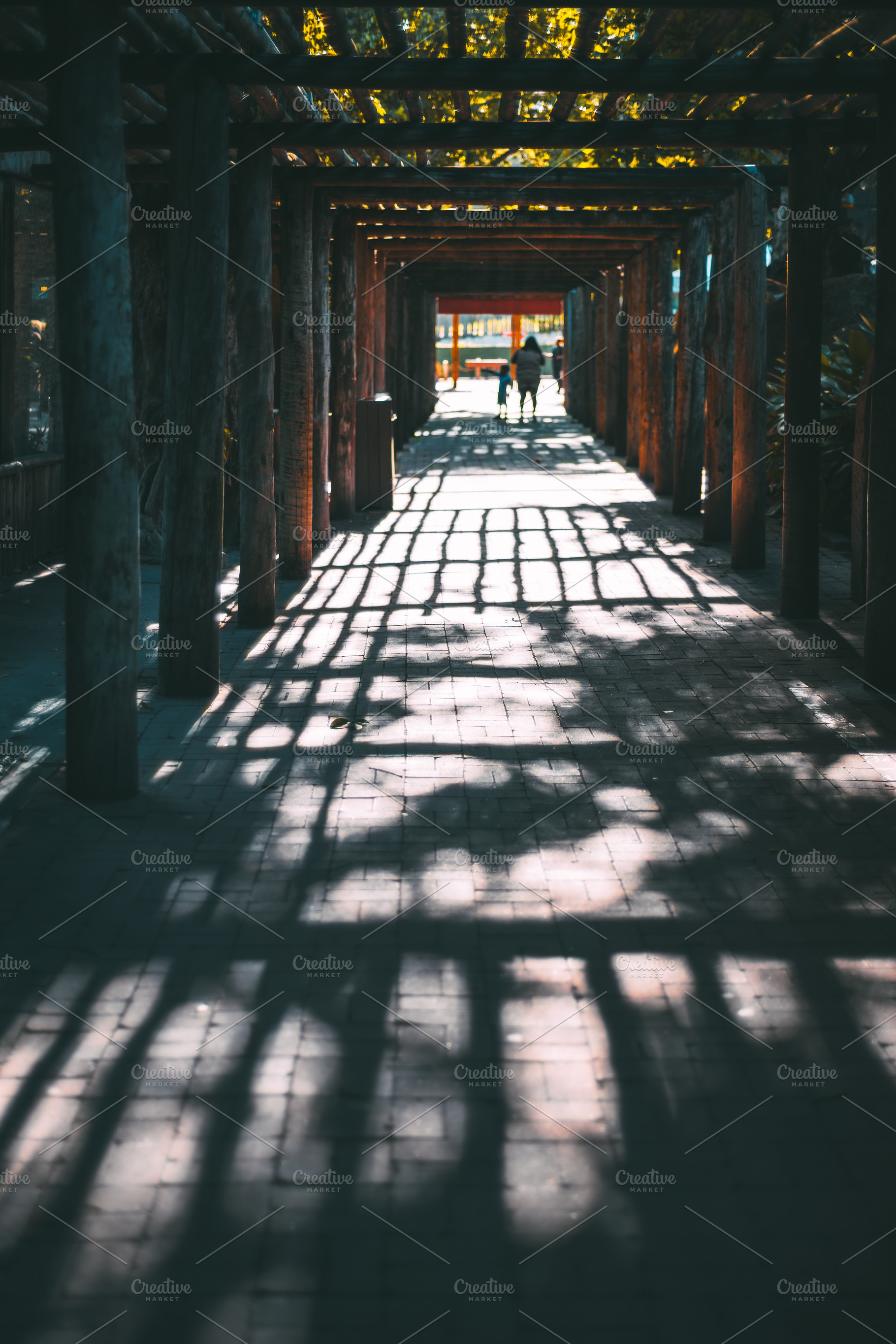 Wooden pergola walkway vertical, an Architecture Photo by SkyNext