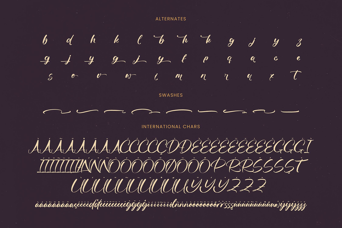 Skayhan Chester Bold Brush Font, a Script Font by Letterena Studios Script (Photo 19 of 20)