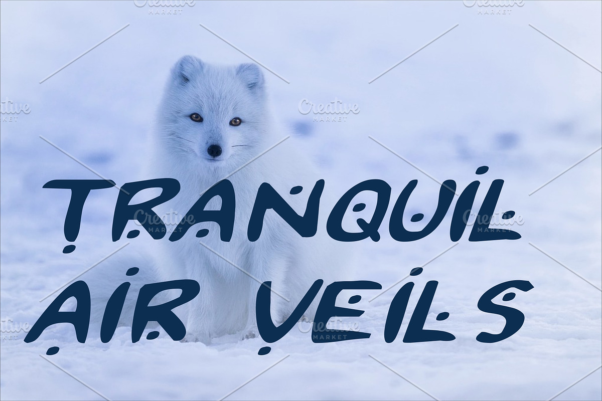 2Toon2 Elegant Serif Font Typeface, a Serif Font by Ink & Pixel Dreams (Photo 4 of 4)