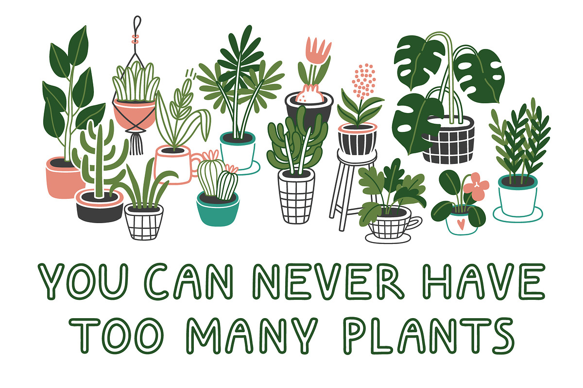 HOMEPLANTS | clip arts collection, a Decorative Illustration by Nastya Tkachova (Photo 4 of 11)
