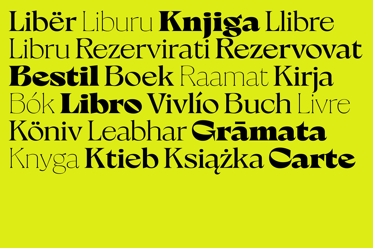 Milanesa Serif, a Font by Sudtipos (Photo 3 of 7)