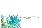 watercolor succulents, an Illustration by water + colour (Thumbnail 2 of 2)