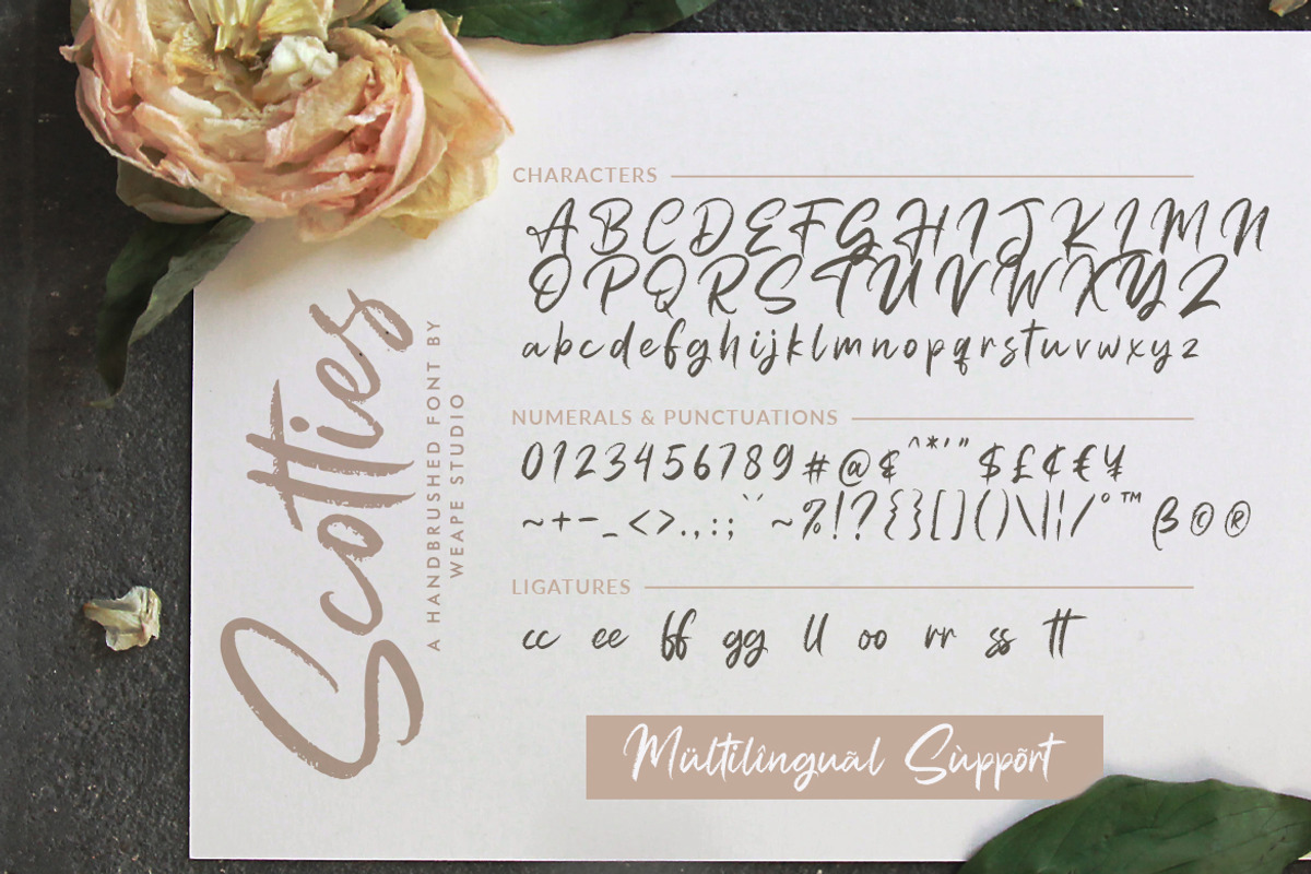 Scotties - Hand Brushed Font preview 8