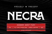 Necra - Modern Serif, a Serif Font by ErgibiStudio (Thumbnail 1 of 12)