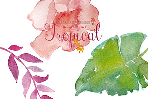 Tropical Floral Clip Art