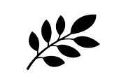 Botanical Leaf Silhouette Bundle, an Illustration by Creativeshirt (Thumbnail 24 of 51)
