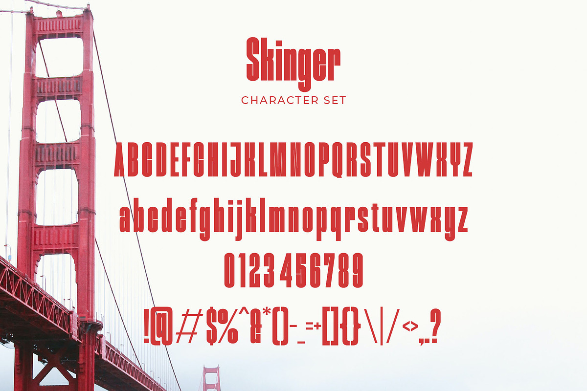 Skinger - A Bold Condensed Sans, a Sans Serif Font by TypeLogue (Photo 5 of 5)