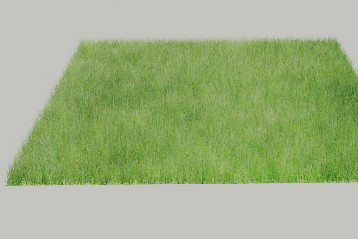 lawn grass, a Plants & Tree 3D Model by nicollr's store (Photo 1 of 2)