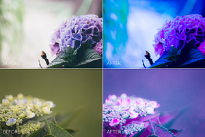 Dreamy Colors Lr Presets