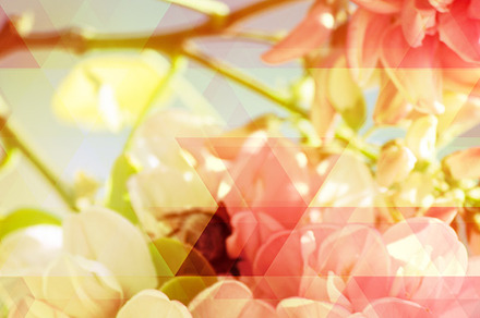 Geometric flowers I preview 2