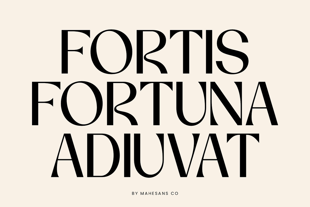 Vorage | Modern Minimalist Typeface, a Serif Font by Mahesans Co (Photo 3 of 10)