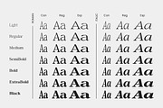 Confirm Serif (42 fonts), a Font by Dora Typefoundry (Thumbnail 8 of 12)