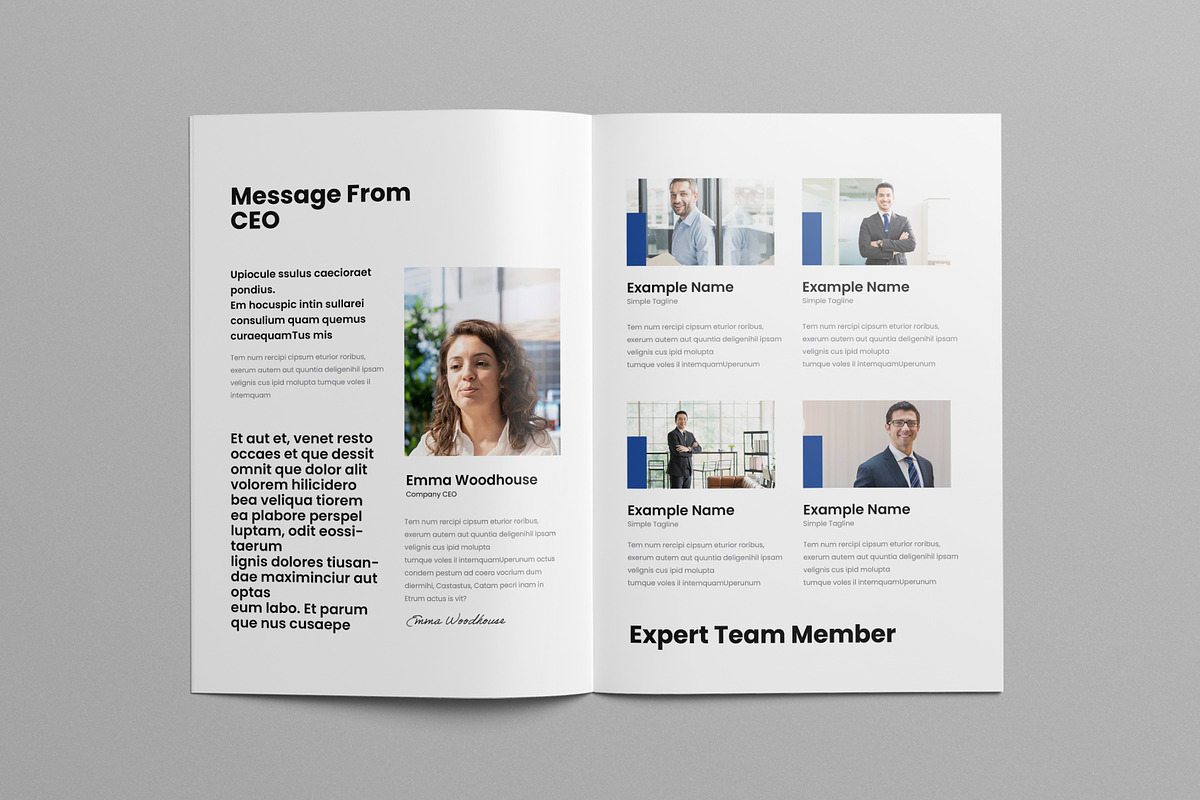 White Paper Layout, a Brochure Template by Pixelpick (Photo 5 of 9)